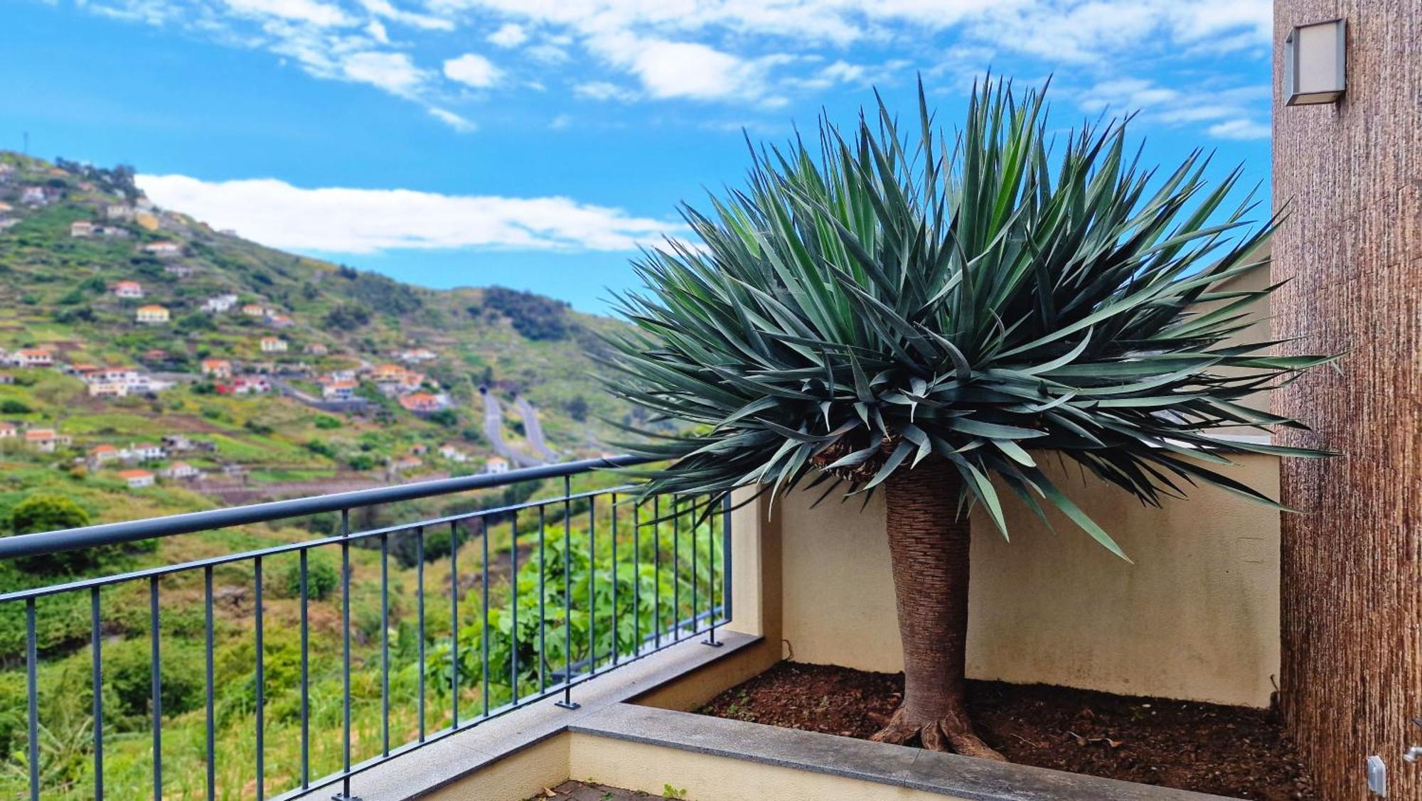 Capela'S House By Lovelystay Ribeira Brava Exteriér fotografie